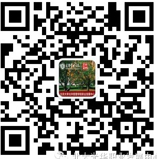 236F936925430E4997CB679A8E6_E0D99ABB_D331.png?e= c7c7娱涝旖台官网入口(中国)官方网站