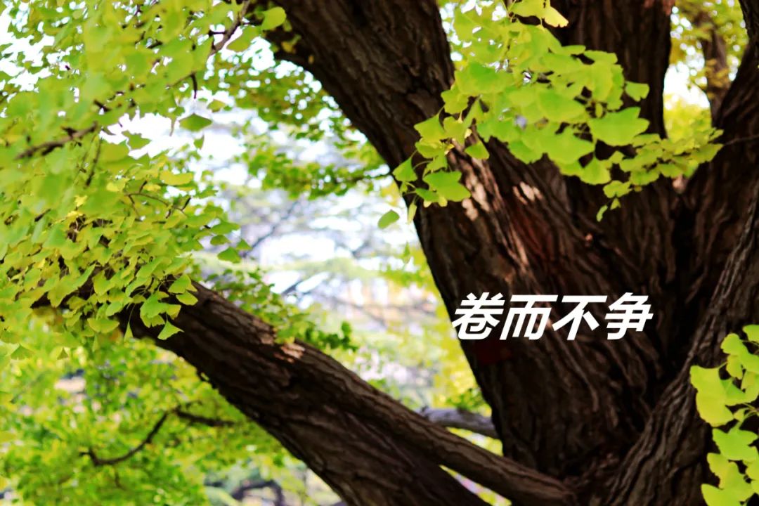 c7c7娱涝旖台官网入口(中国)官方网站