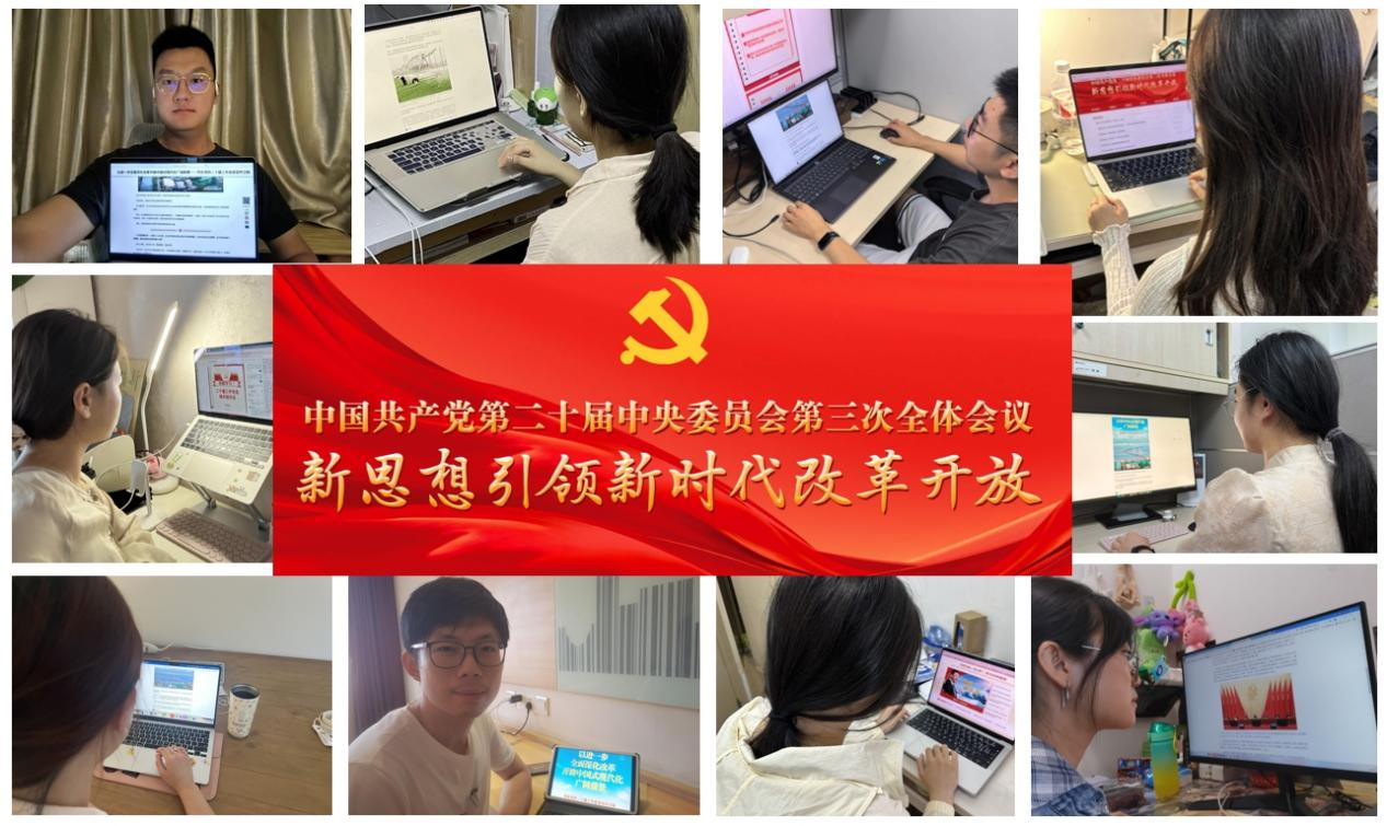 2B23338BEA934F40722C41CDC78_C536ED72_11BAA1 2B23338BEA934F40722C41CDC78_C536ED72_11BAA1