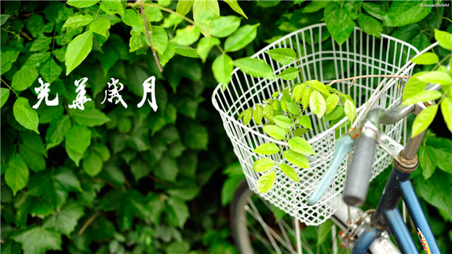6B6A7FB601B6DD93FAF078E8593_6304F589_1F36A.jpg?e= c7c7娱涝旖台官网入口(中国)官方网站